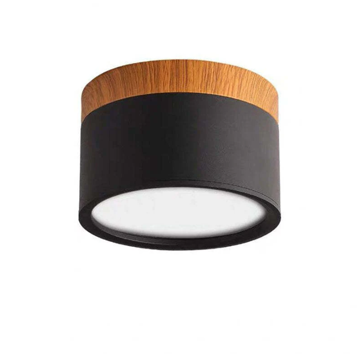 Lisslune | Morandi-inspired Modern LED ceiling lamp