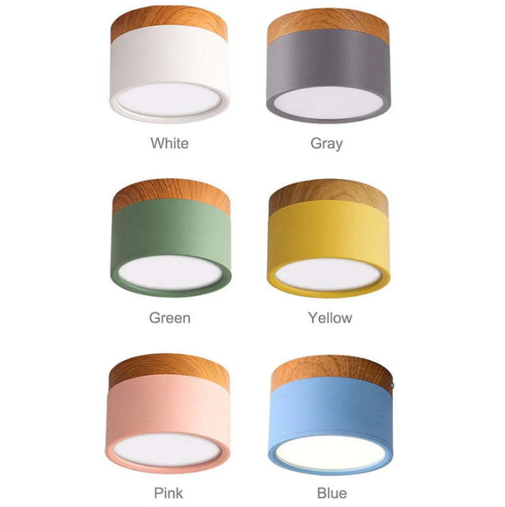 Lisslune | Morandi-inspired Modern LED ceiling lamp