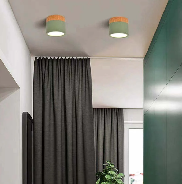 Lisslune | Morandi-inspired Modern LED ceiling lamp