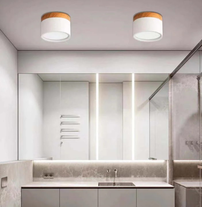 Lisslune | Morandi-inspired Modern LED ceiling lamp