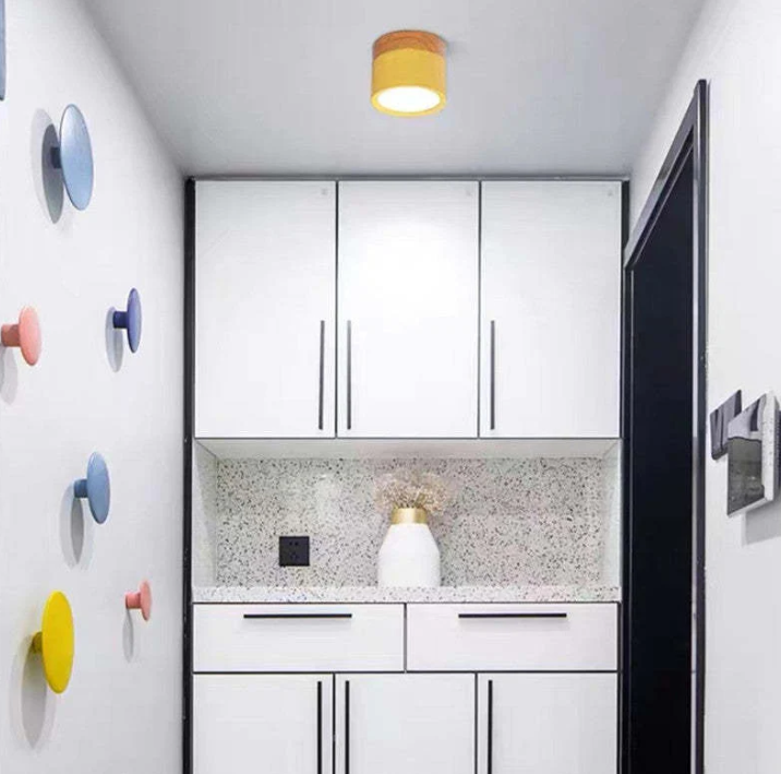 Lisslune | Morandi-inspired Modern LED ceiling lamp