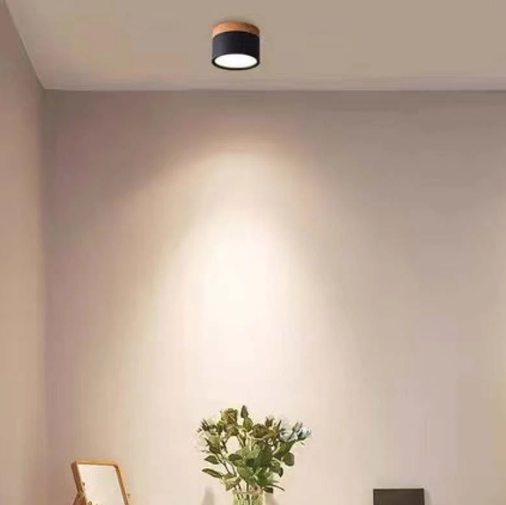 Lisslune | Morandi-inspired Modern LED ceiling lamp