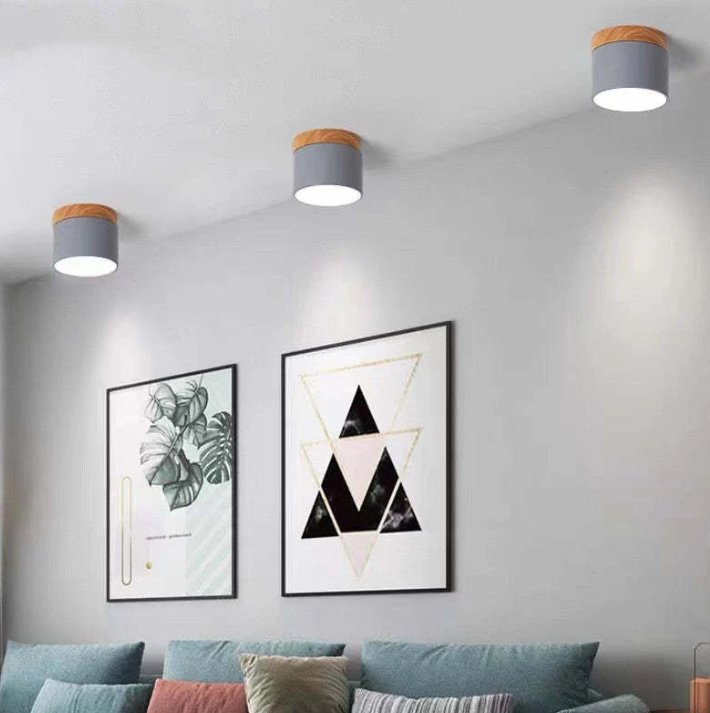 Lisslune | Morandi-inspired Modern LED ceiling lamp