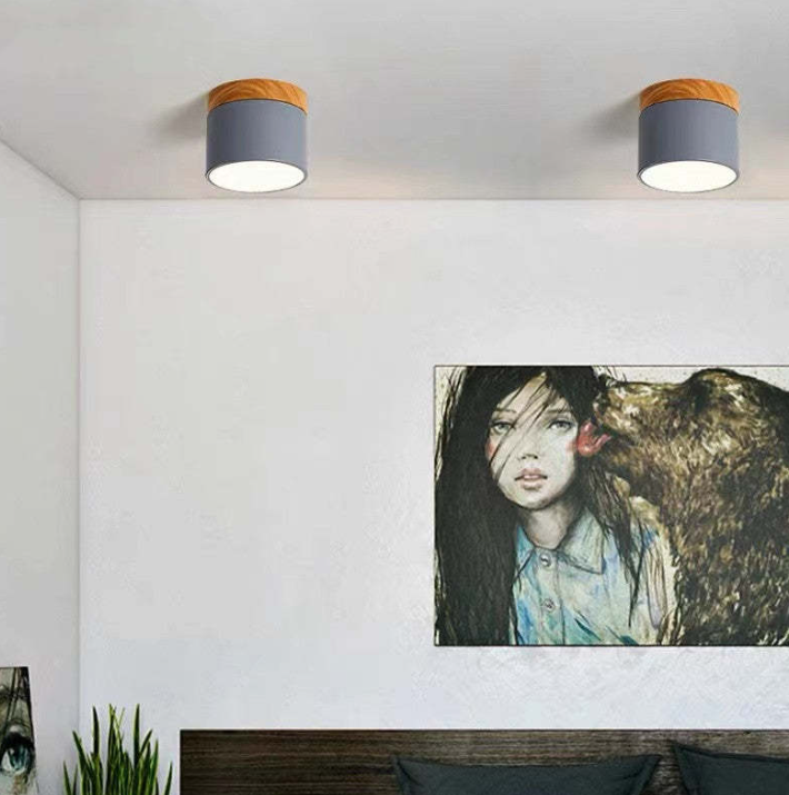 Lisslune | Morandi-inspired Modern LED ceiling lamp