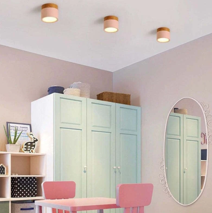 Lisslune | Morandi-inspired Modern LED ceiling lamp