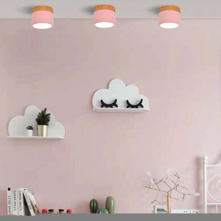 Lisslune | Morandi-inspired Modern LED ceiling lamp