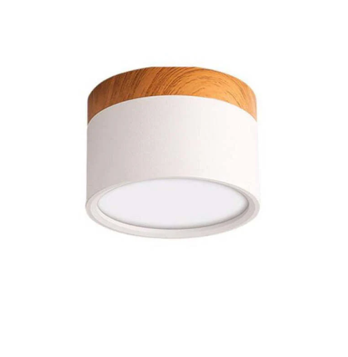 Lisslune | Morandi-inspired Modern LED ceiling lamp