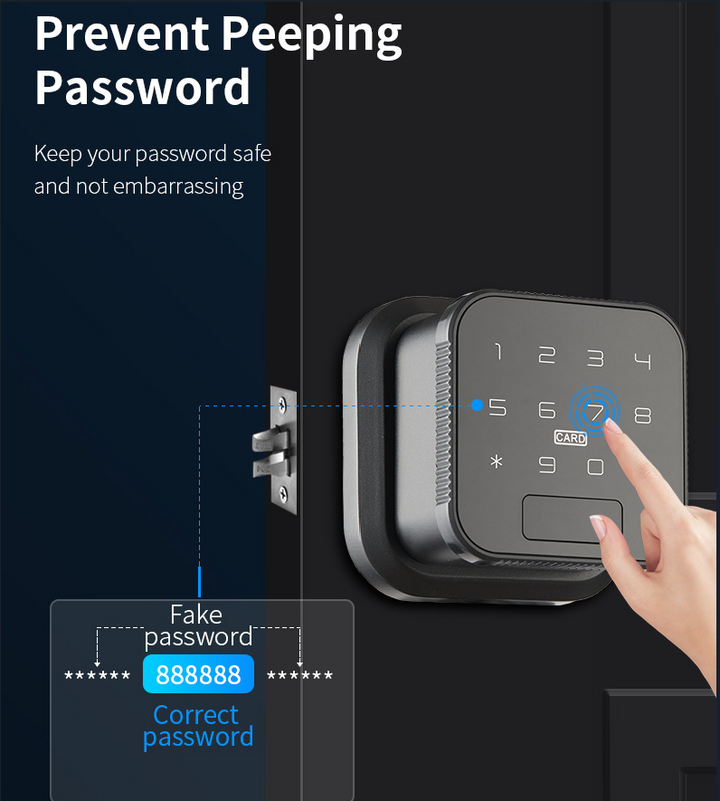 Lisslune | Keyless Entry Smart Wifi Electronic Fingerprint Lock
