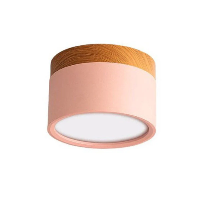 Lisslune | Morandi-inspired Modern LED ceiling lamp