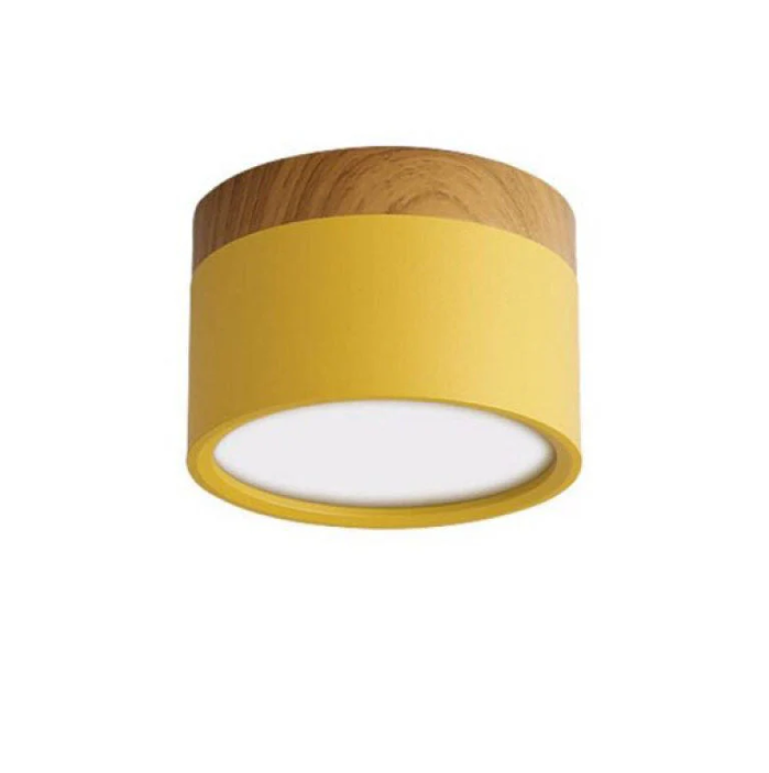 Lisslune | Morandi-inspired Modern LED ceiling lamp