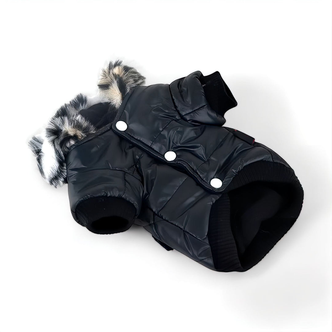Lisslune | Winter Jacket