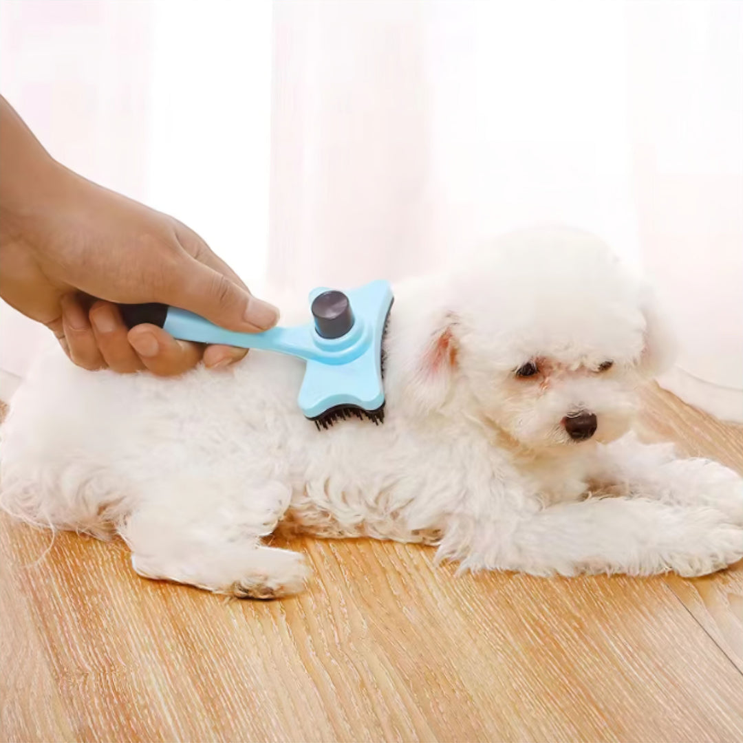 Lisslune | Care Brush