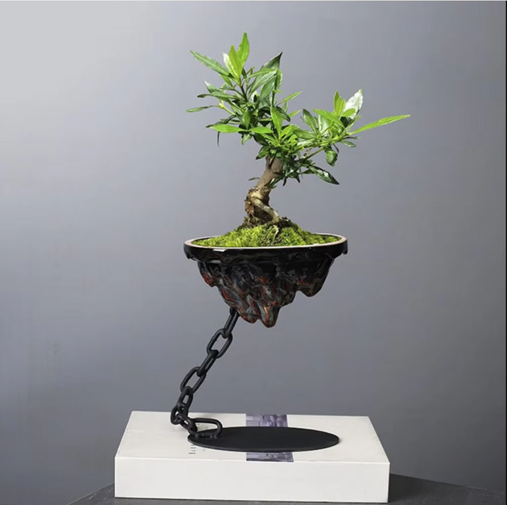 Lisslune | RockScape - Hanging ceramic plant boxes