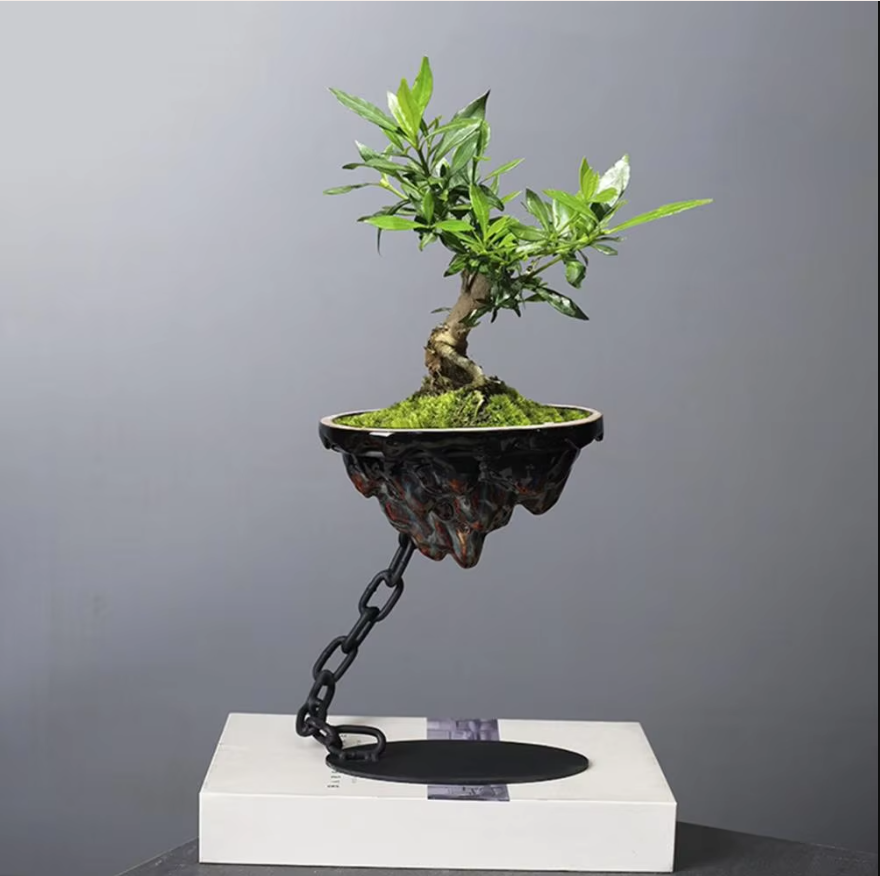 Lisslune | StoneBloom – Elegant hanging plant box for stylish vegetables