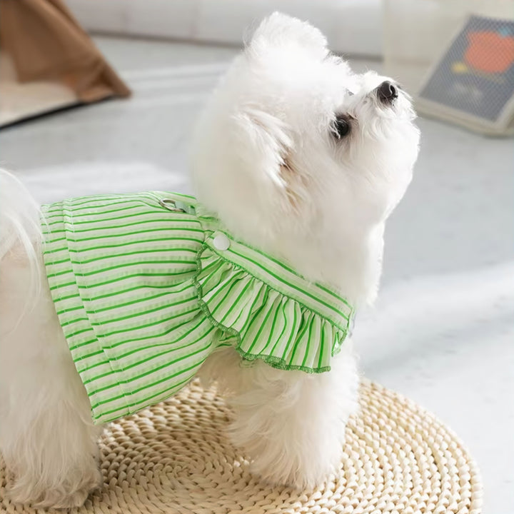 Lisslune | Pupwear