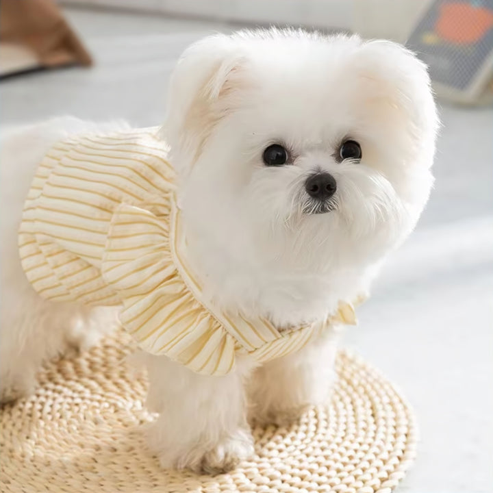 Lisslune | Pupwear