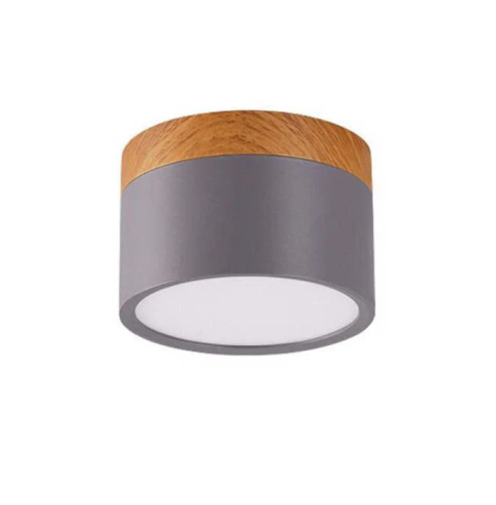 Lisslune | Morandi-inspired Modern LED ceiling lamp