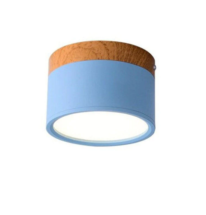 Lisslune | Morandi-inspired Modern LED ceiling lamp