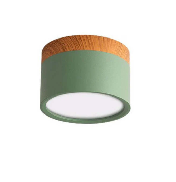 Lisslune | Morandi-inspired Modern LED ceiling lamp