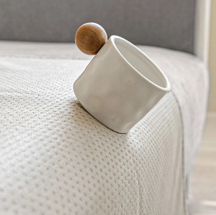 Lisslune | Elegant and Eco-Friendly Scratch-Resistant Sofa Covers