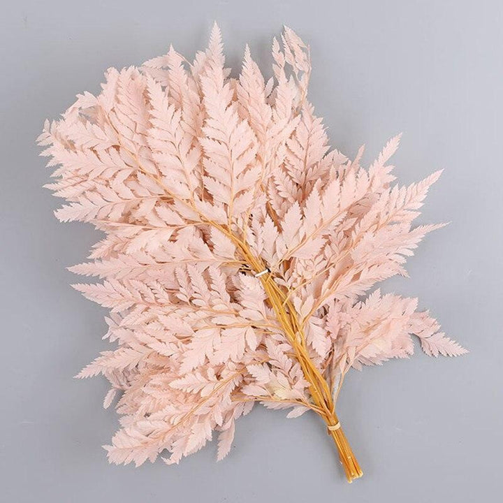 Lisslune | Alpine Serenity Fern Decor Kit: Bring the Essence of Nature Indoors