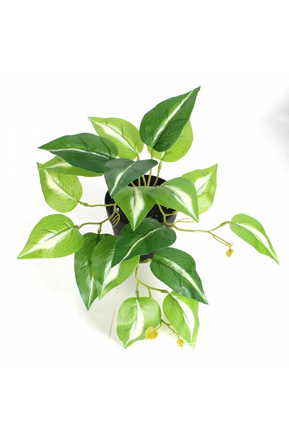 Lisslune | Green Artificial Plants