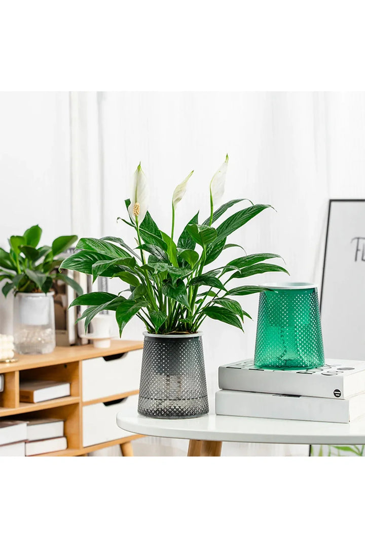 Lisslune | Self-watering flower pot