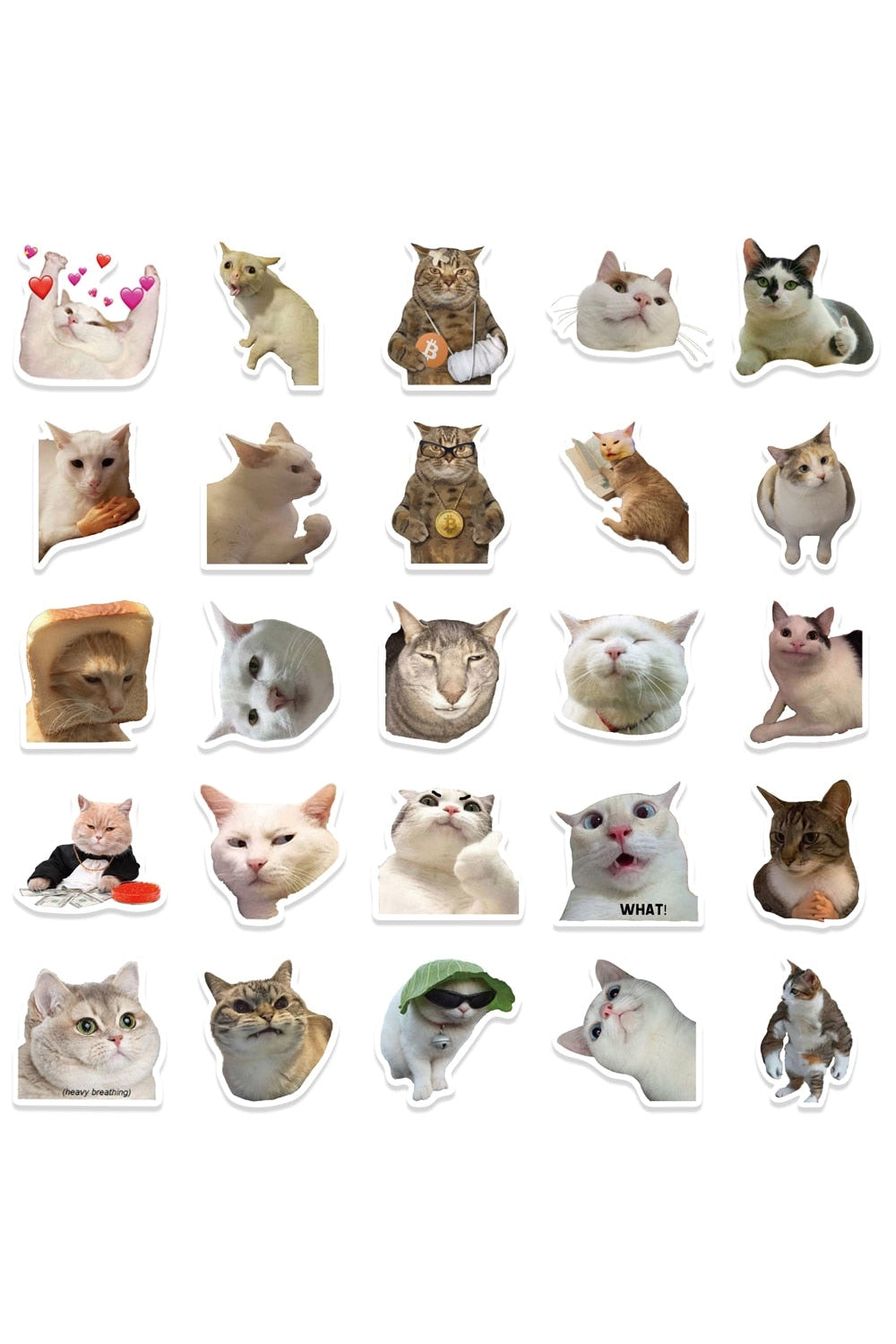 Lisslune | Cat Fun Stickers 50 Pieces