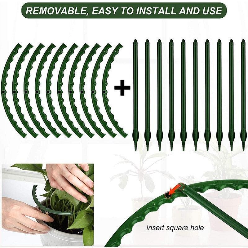 Lisslune | Adjustable Support Stakes for Flowering Plants