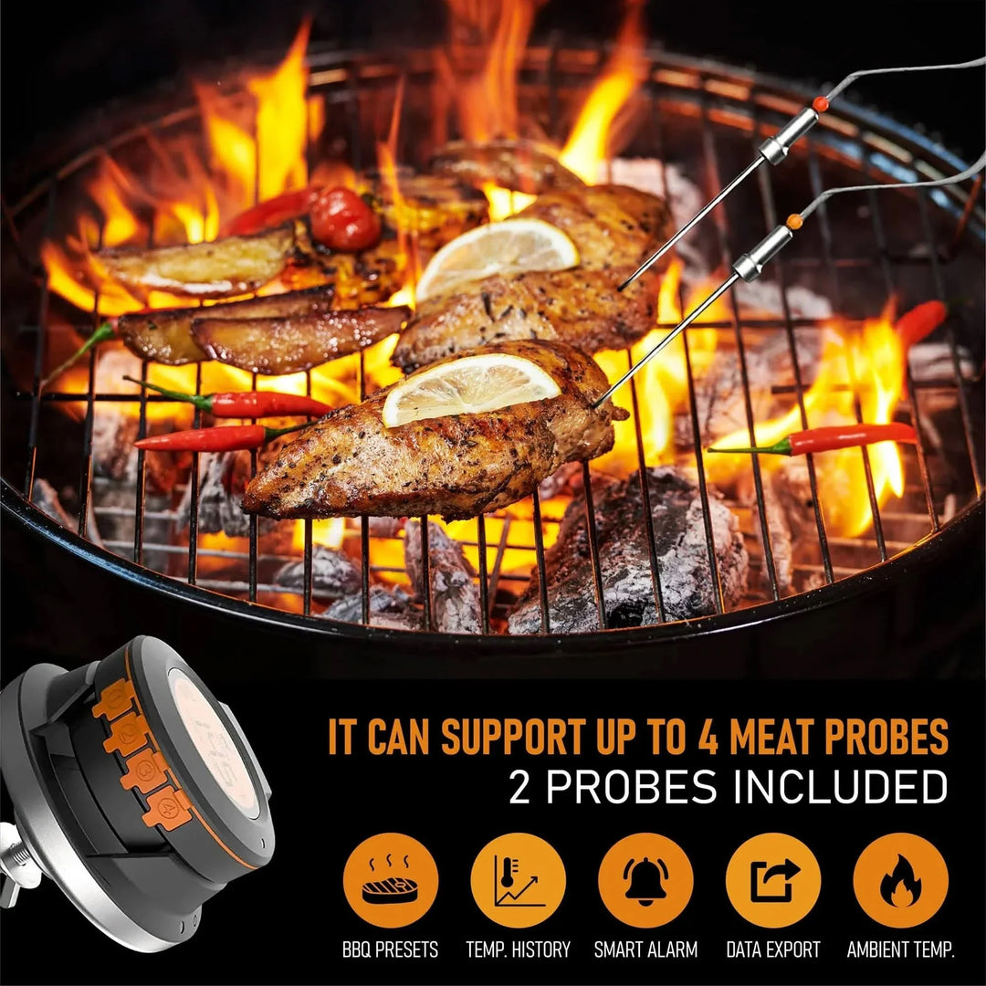 Lisslune | TempMaster BBQ Thermometer – App-controlled & Multi-zone capable
