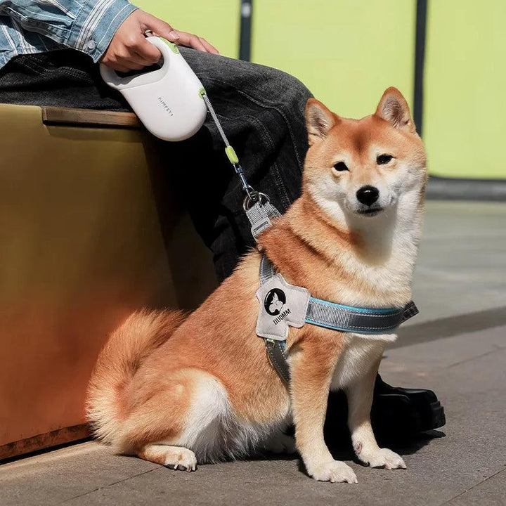Lisslune | Ultimate retractable dog leash for safe and controlled outdoor adventures