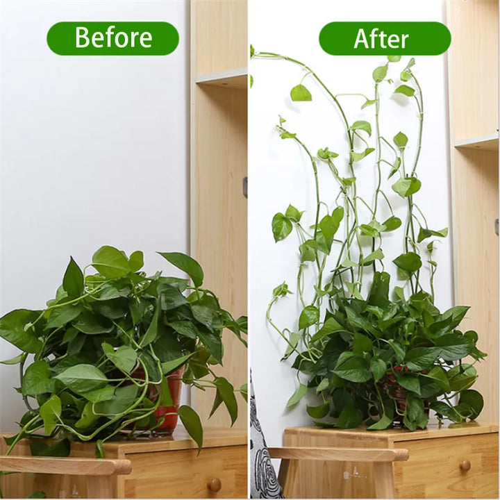 Lisslune | Self-Adhesive Plant Holder Mini Wall Clips