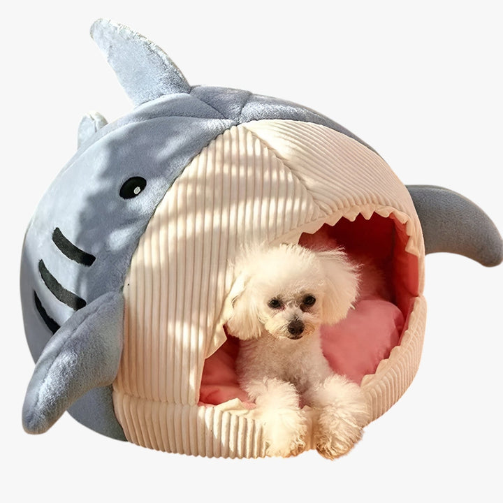 Lisslune | SoftBloom Shark Cat Bed – Cozy Hideaway for Indoor