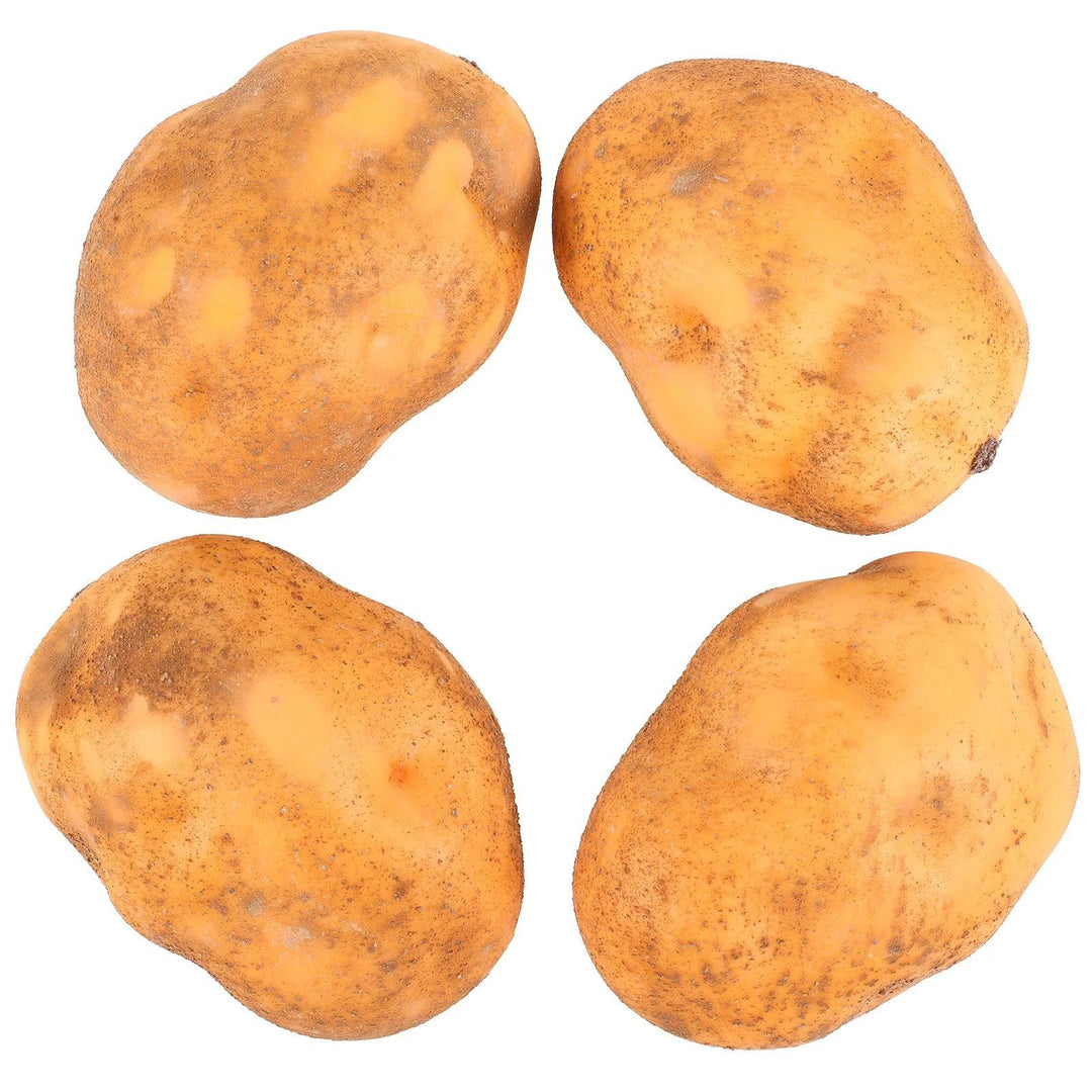 Lisslune | Set of 4 Realistic Foam Potato Models for Home Decoration and Learning Activities