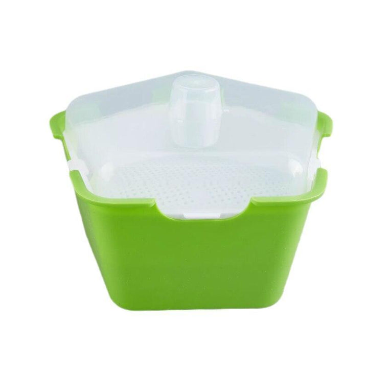 Lisslune | HomeSprout Deluxe Seed Sprouting System: Grow Your Own Fresh Superfoods with Ease