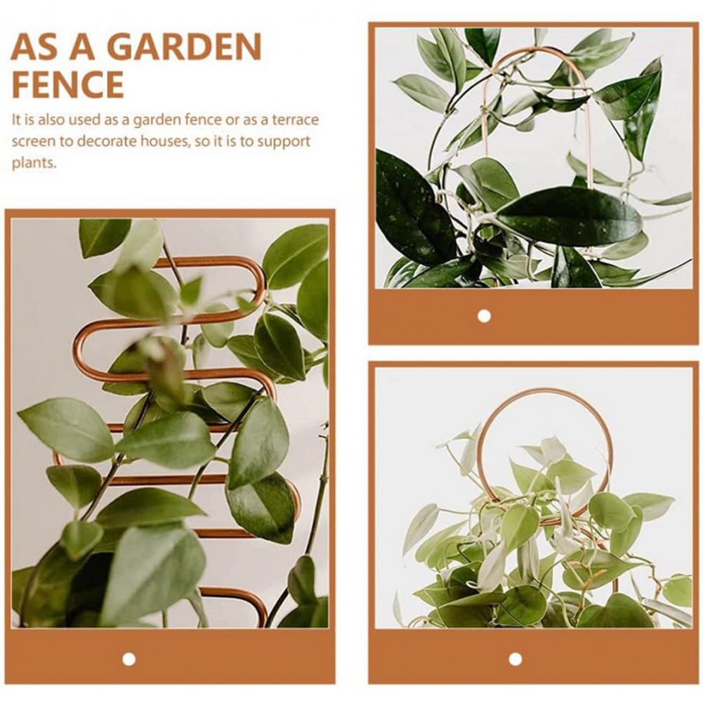 Lisslune | Nordic Plant Climbing Rack