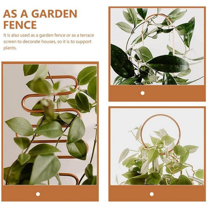 Lisslune | Nordic Plant Climbing Rack
