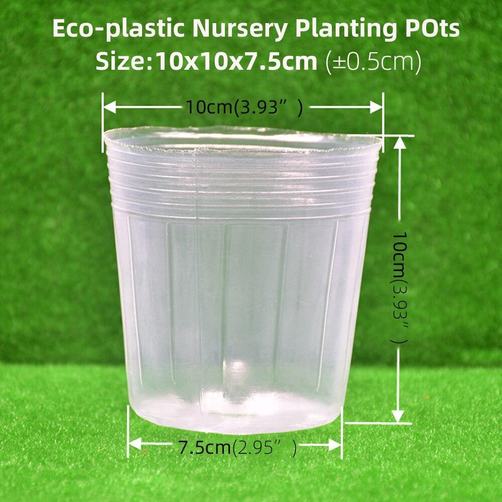 Lisslune | 100-piece clear plant growth cups: Successfully boost your garden