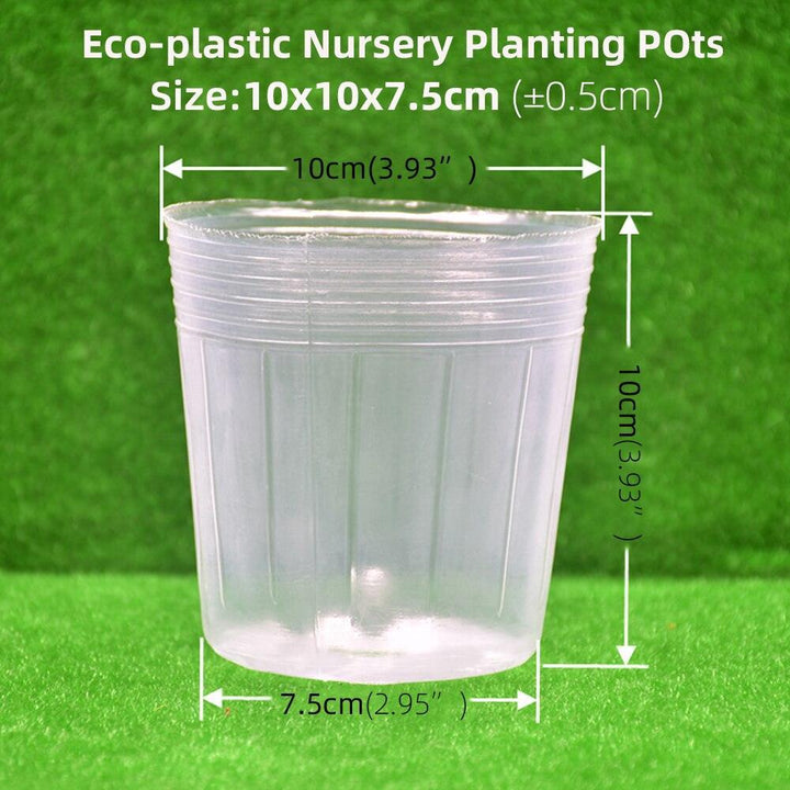 Lisslune | 100-piece clear plant growth cups: Successfully boost your garden
