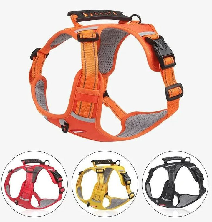 Lisslune | Anti-Pull Dog Harness for Relaxed Walks