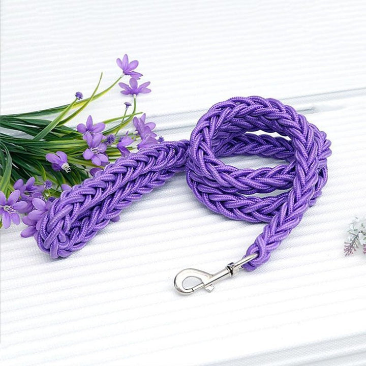 Lisslune | Braided short dog leash for large dogs