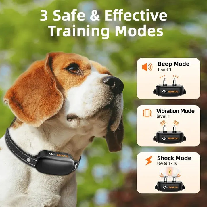 Lisslune | ProTrain – Rechargeable Waterproof Dog Training Collar with Remote