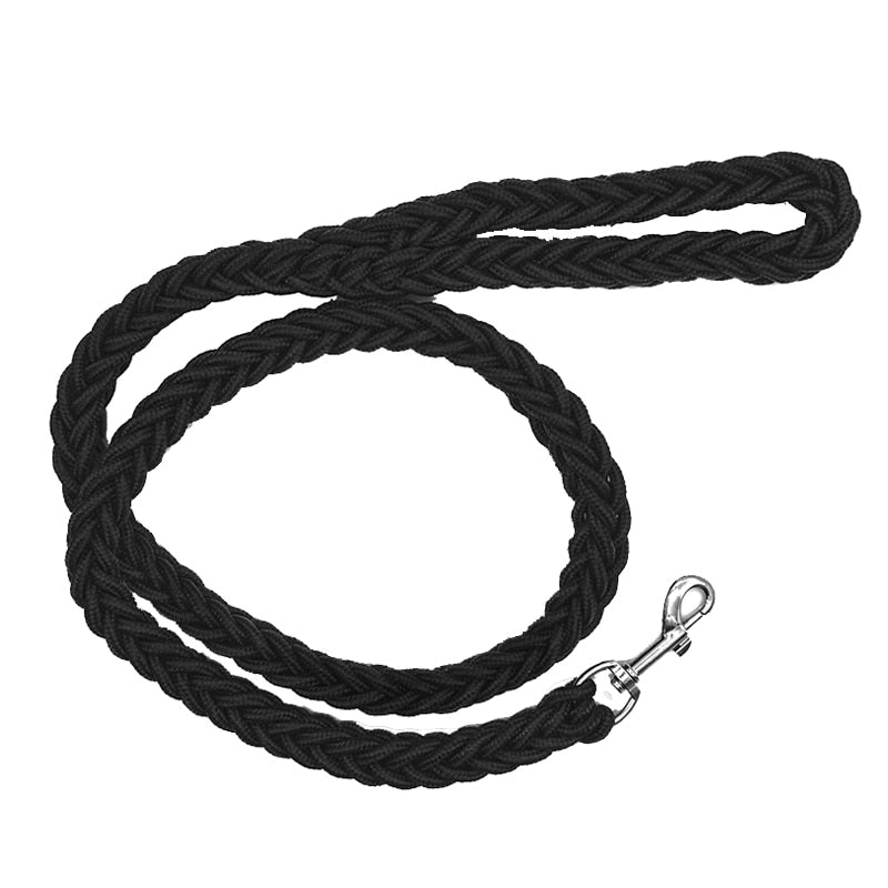 Lisslune | Braided short dog leash for large dogs