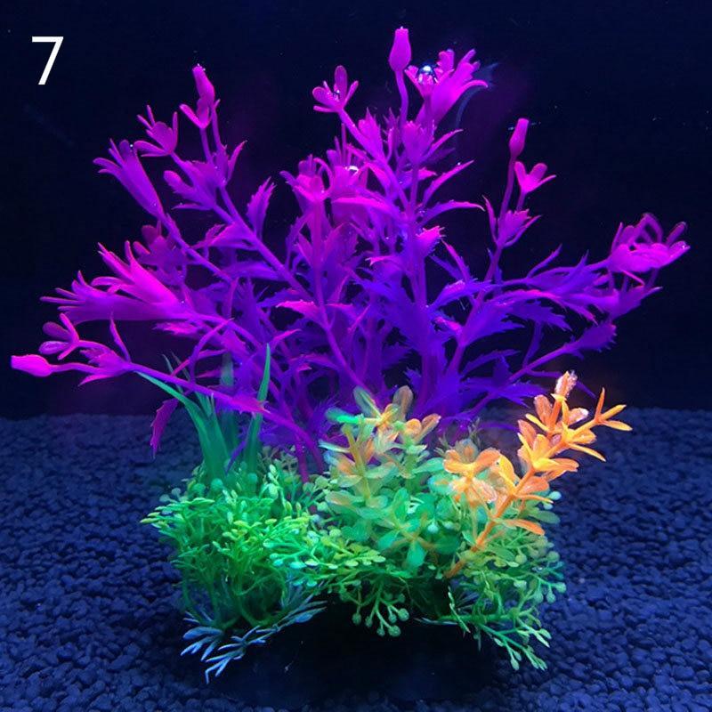 Lisslune | Aquatic Paradise: 12 Unique Plant Varieties for Lively Aquarium Landscapes