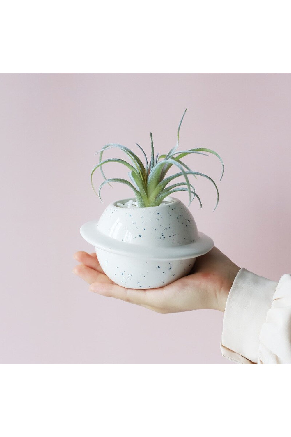 Lisslune | Motif ceramic pot for succulents