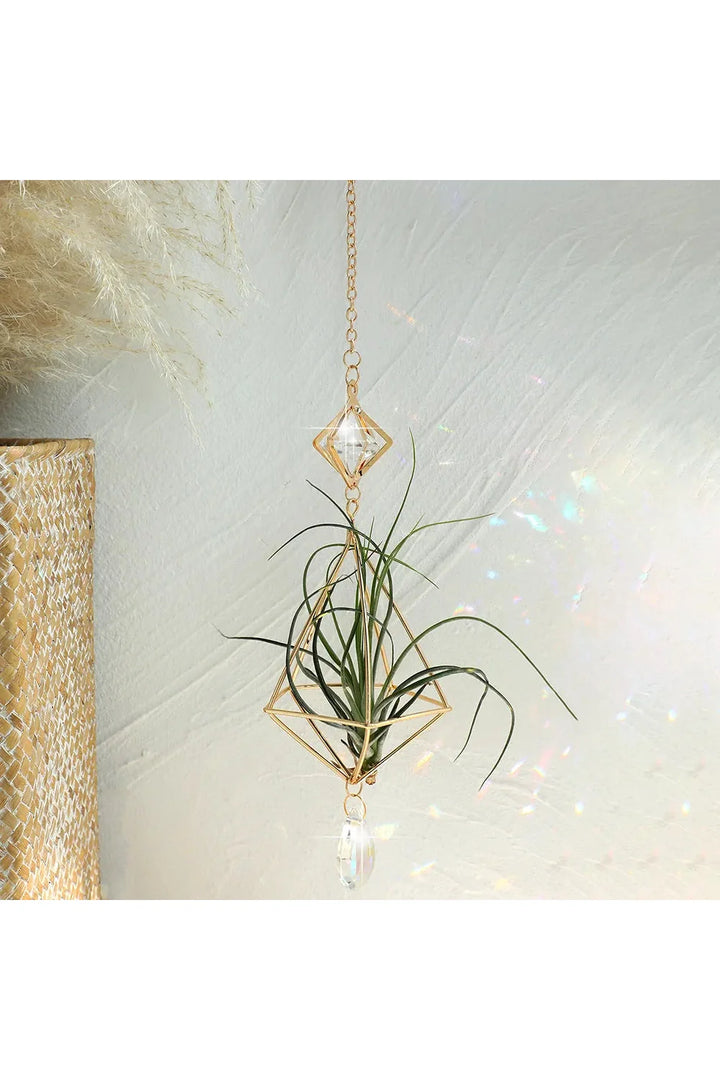 Lisslune | Air plant sun catcher