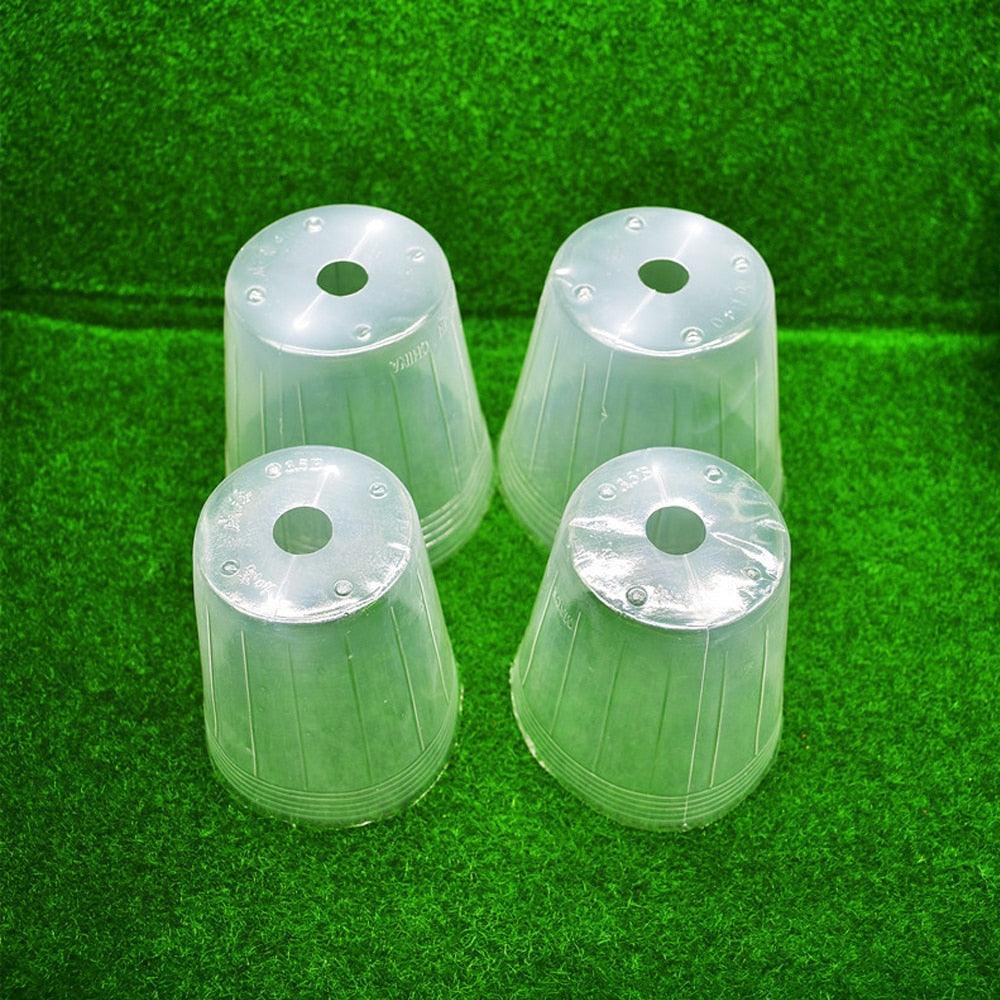 Lisslune | 100-piece clear plant growth cups: Successfully boost your garden