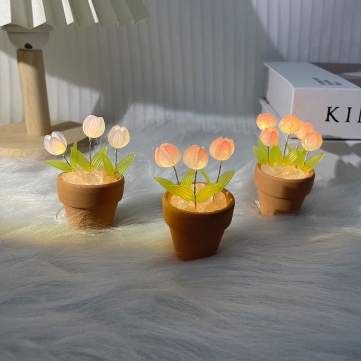 Lisslune | Creative DIY Rose Glow Night Lamp Decor