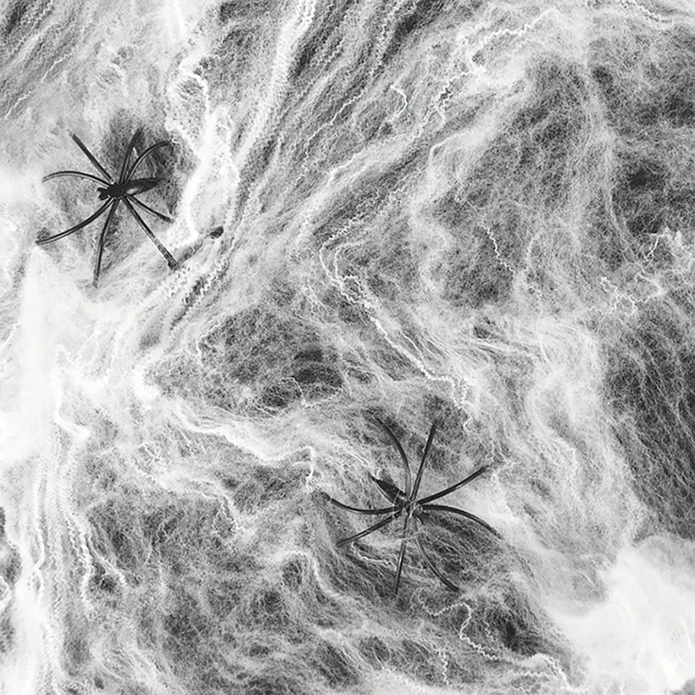 Rynx | Artificial Spider Web, Horror Spider Web Halloween Decorations, Stretchable Spider Web with Spider, Gothic Horror Home Decor