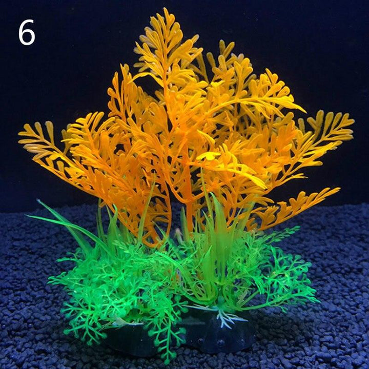 Lisslune | Aquatic Paradise: 12 Unique Plant Varieties for Lively Aquarium Landscapes